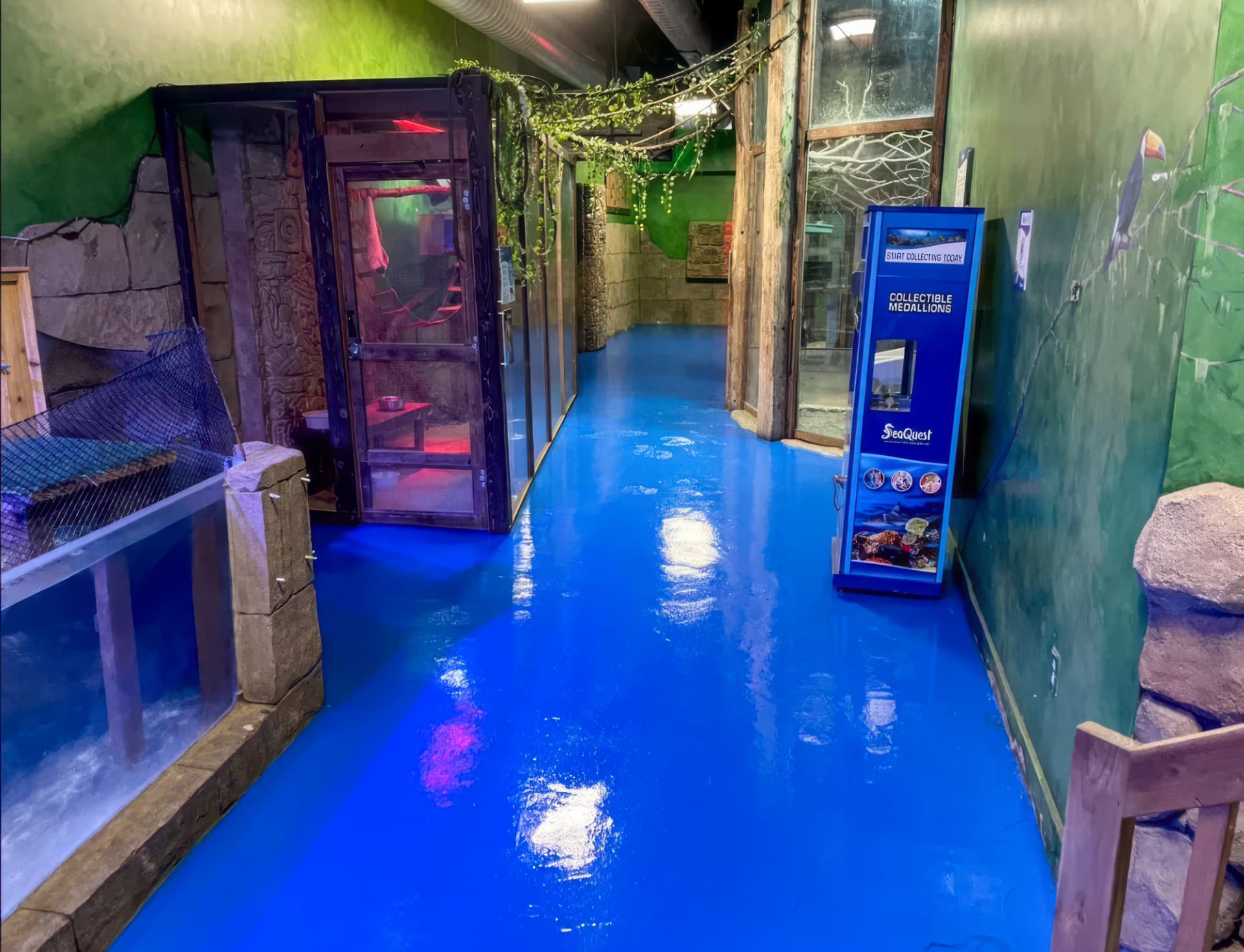 Blue commercial concrete floor coating in a themed indoor attraction walkway.